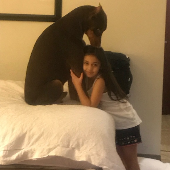 You favorite items are being auctioned!!!! Ahhhhhhh! - Picture 11 of 12